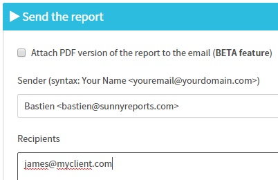 sunnyreports-pdf-file